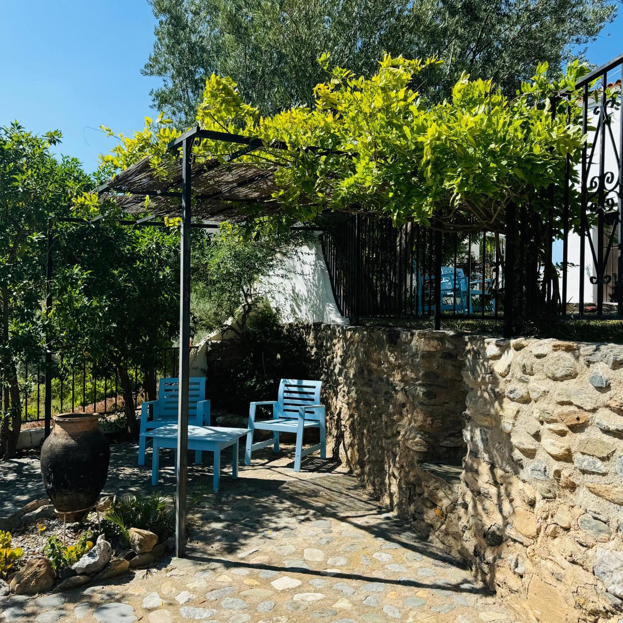 오르히바 Almond Hill House 빌라 외부 사진