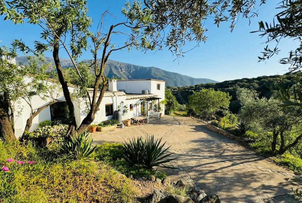 오르히바 Almond Hill House 빌라 외부 사진