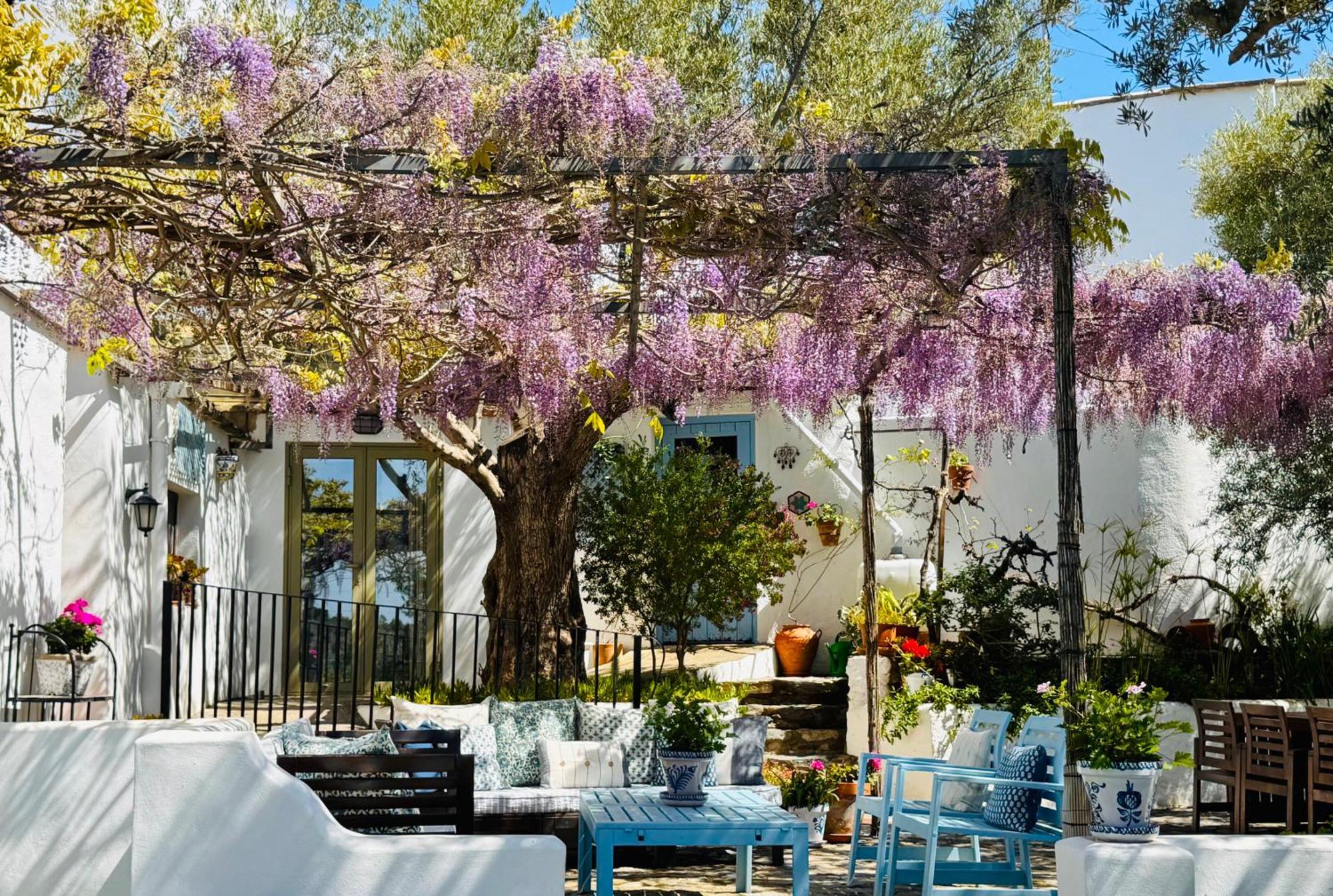 오르히바 Almond Hill House 빌라 외부 사진